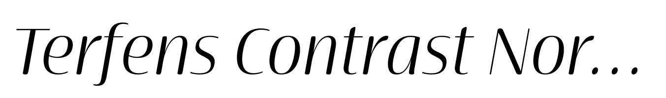 Terfens Contrast Norm Book Italic